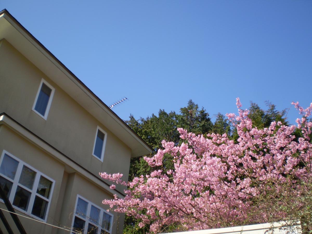 Chiisana Hotel Hanaikada Ито Екстериор снимка