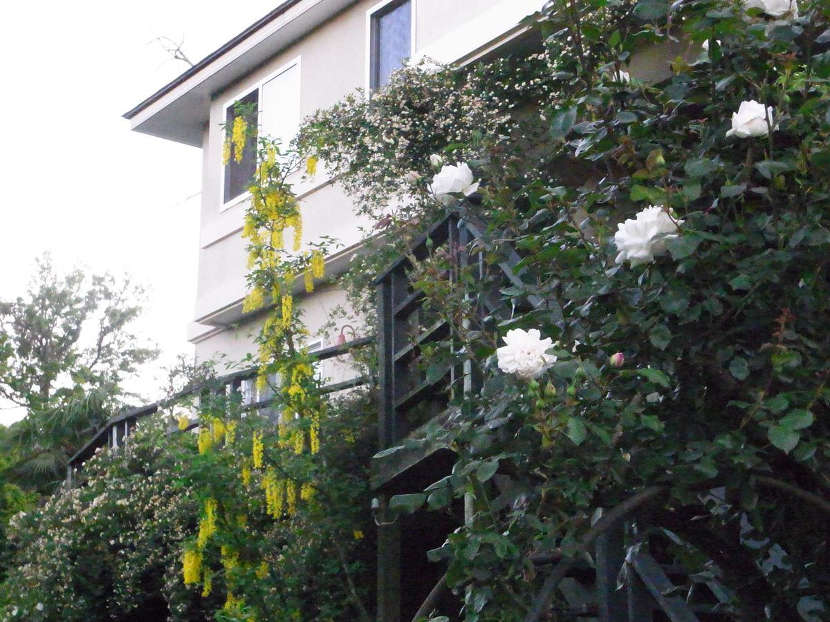 Chiisana Hotel Hanaikada Ито Екстериор снимка